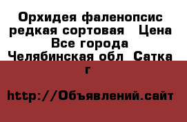 Орхидея фаленопсис редкая сортовая › Цена ­ 800 - Все города  »    . Челябинская обл.,Сатка г.